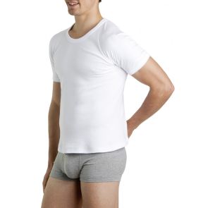 Bonds Raglan Tee 2PK M9372W White