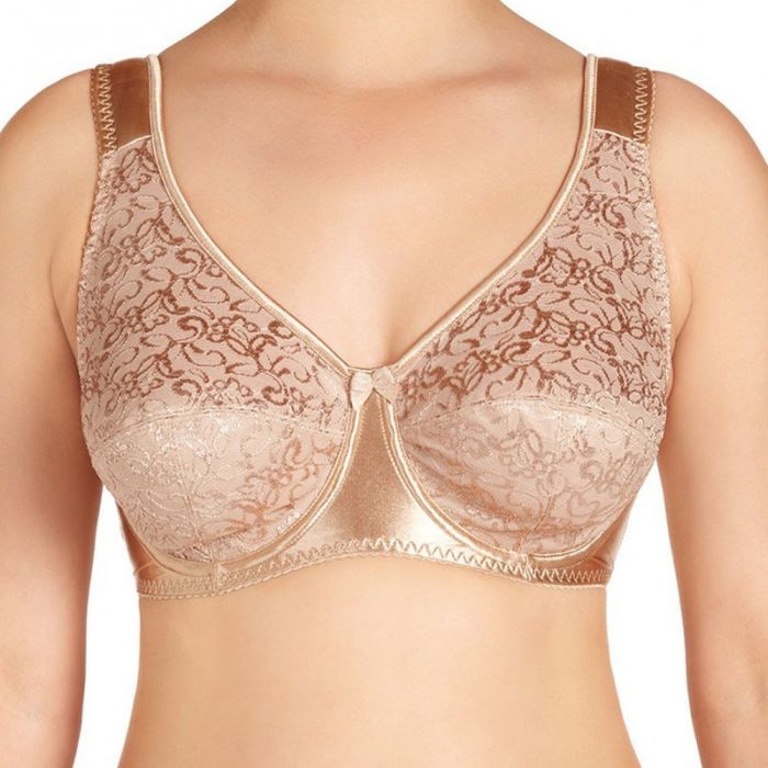 Charlotte Lace Full Figure Underwire Bra