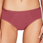 Bendon Body Cotton High Cut Brief 14-534 Wild Ginger