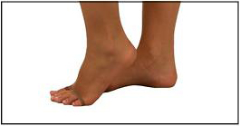 Sheer Toe, Open Toe & Reinforced Toe