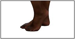 Sheer Toe, Open Toe & Reinforced Toe