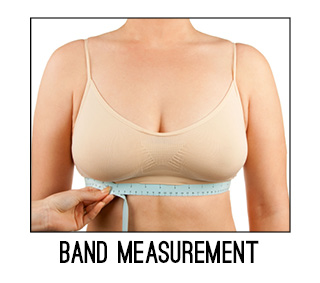 Measuring Your Band